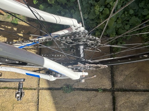 Bordman road bike - bordman,